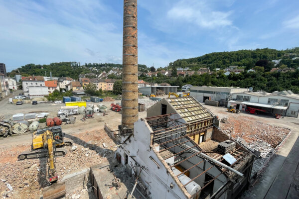 Aregger Rueckbau Muenchenstein Baerleareal 03